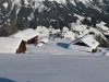 img-20130219-wa0008